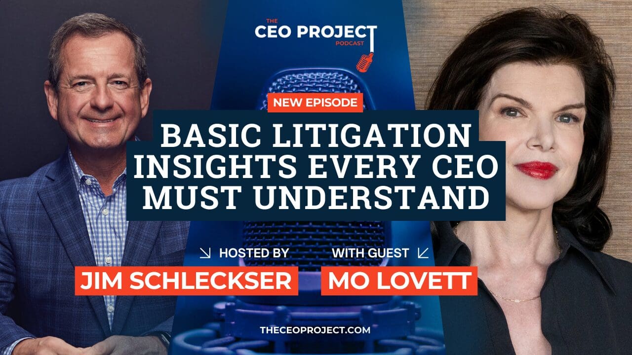 basic litigation insights