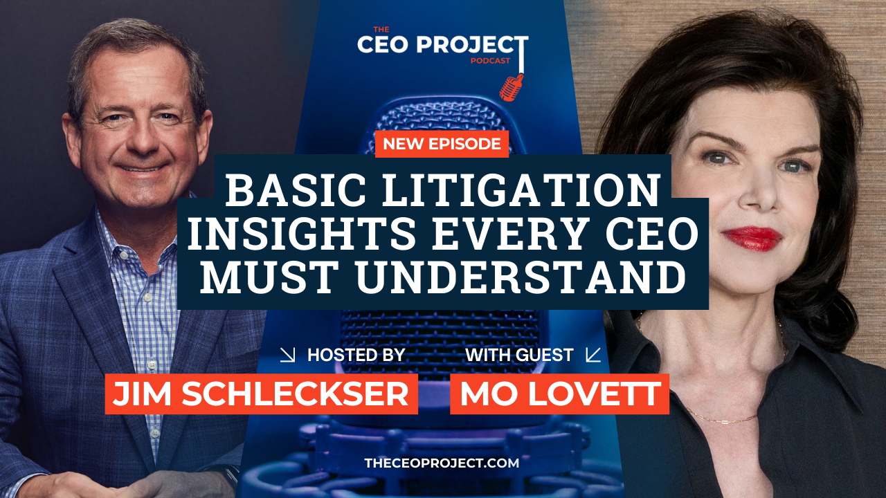 basic litigation insights