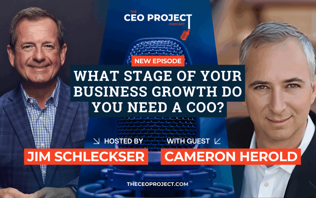 What Stage of Your Business Growth Do You Need a COO?